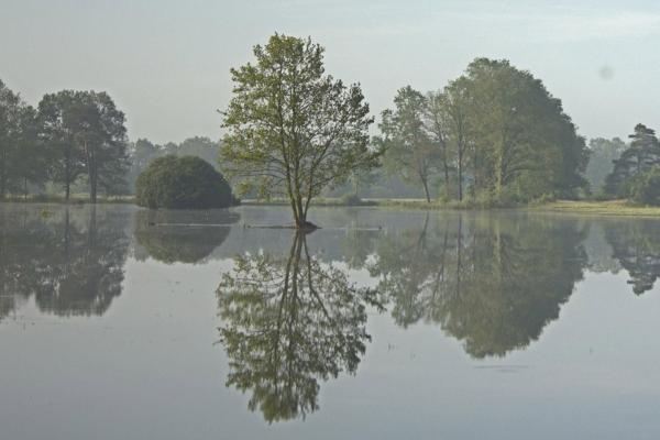 Photography Veluwe & IJsselvallei