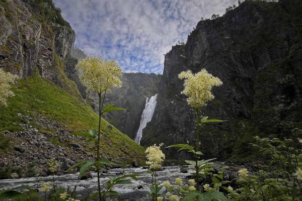 Photography Norway 2024